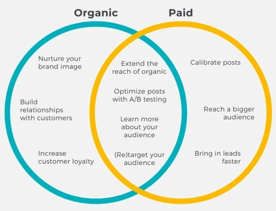 paid vs organic social media 1
